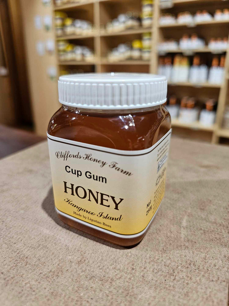 CUP GUM HONEY