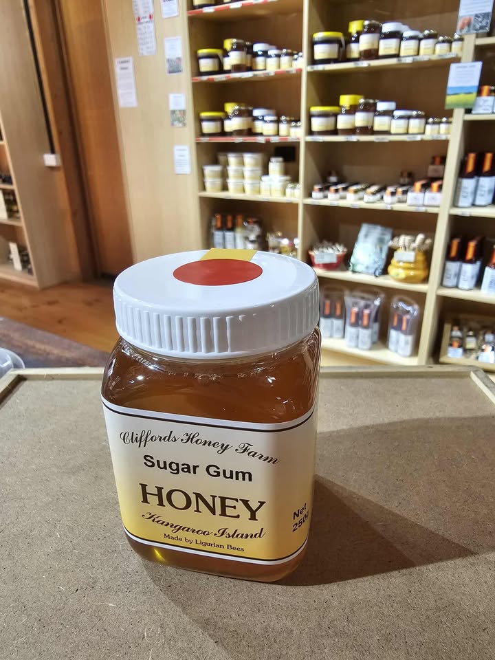 SUGAR GUM HONEY