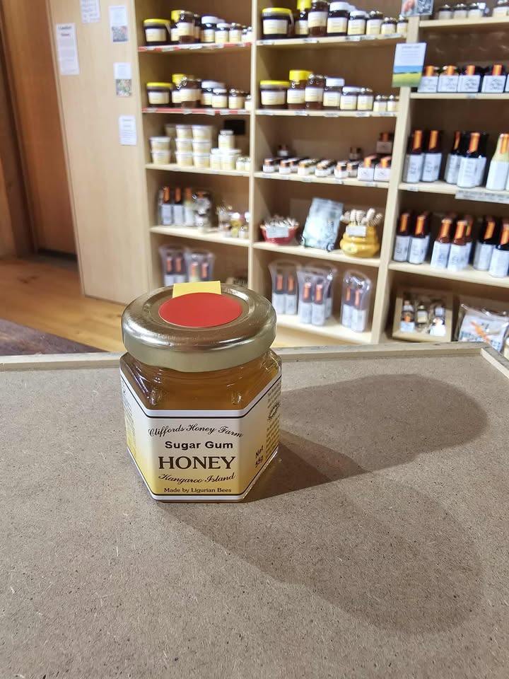 SUGAR GUM HONEY